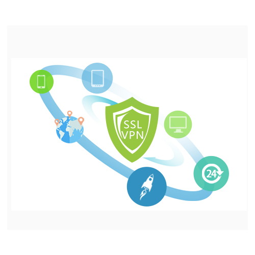 SSL VPN 